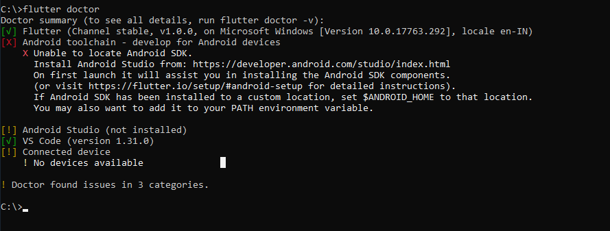 Run flutter doctor
